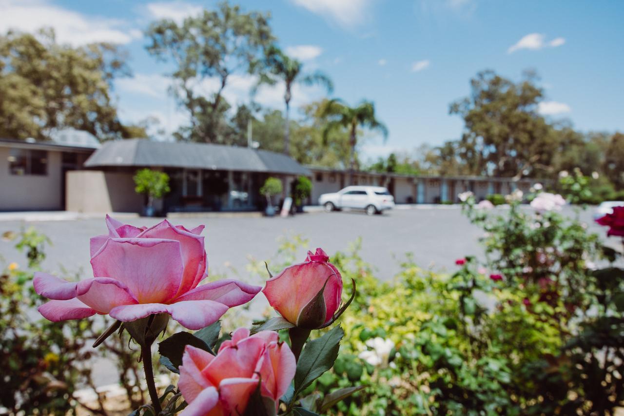 Artesian Spa Motel Moree Eksteriør billede